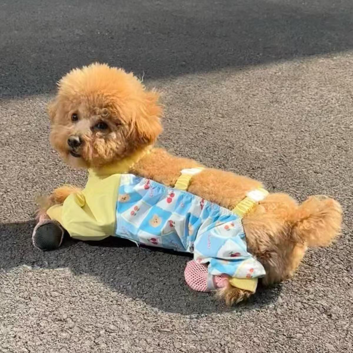 T801 Pet clothes spring and summer new streamer yarn princess dress Teddy Bichon dog cat thin sun protection traction dress