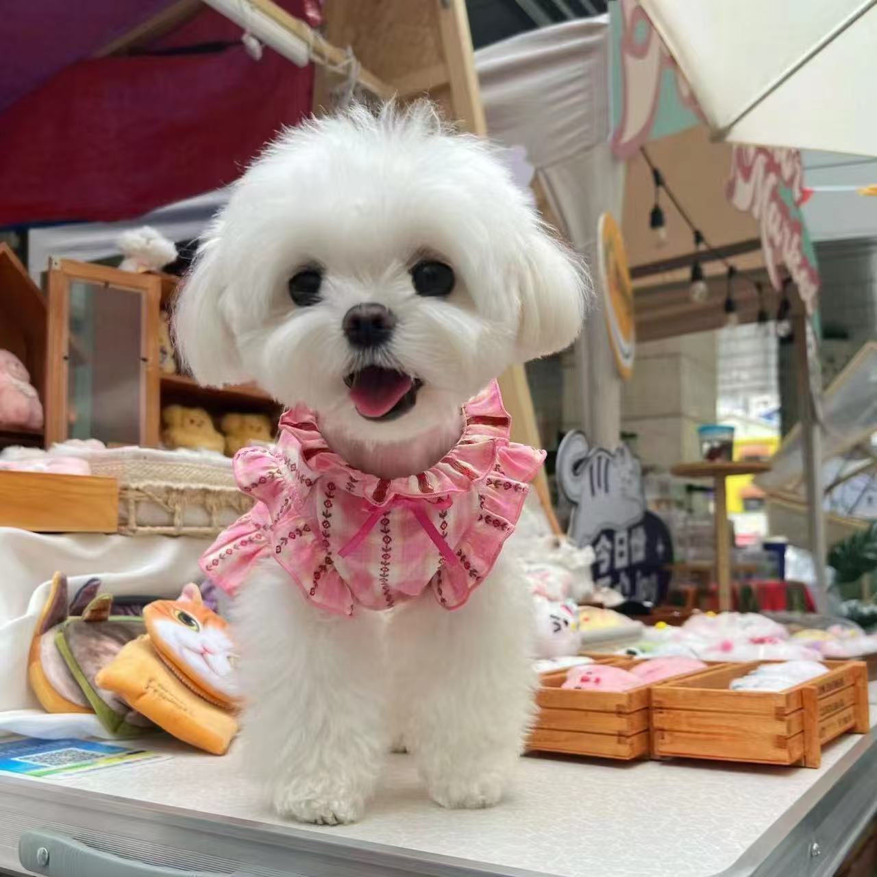 T798 Dog clothes vest summer thin yellow love bubble skirt pet dog small dog Bichon Teddy Pomeranian