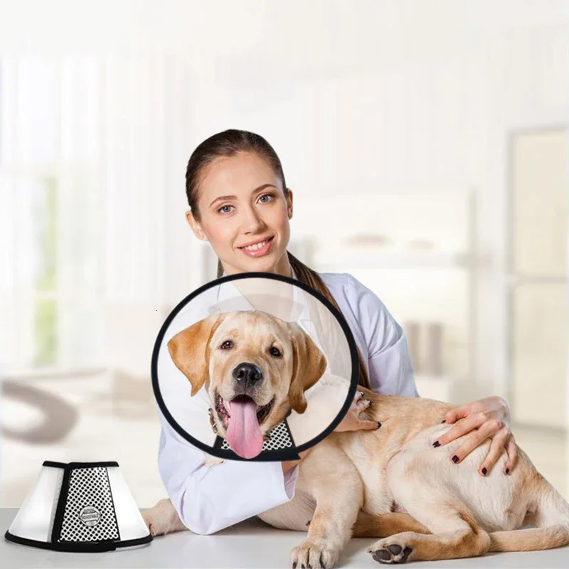 Pet Elizabeth Collar Puppy Anti Bite Grasping Collar for Small Sizes Dogs Recovery Cone Ring Cats Neck Wound Healing Accessories 250716