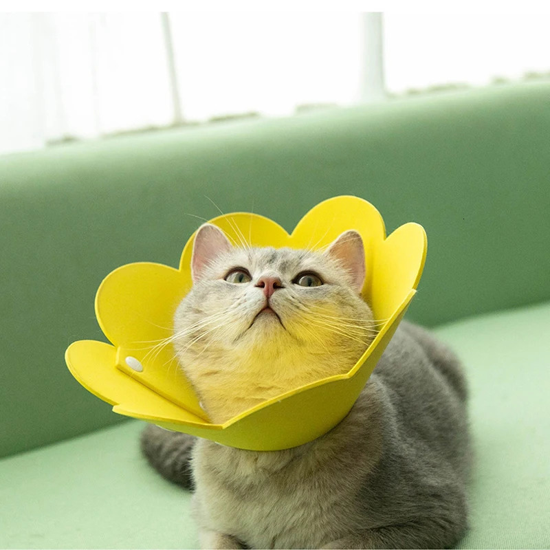 Cute Flower Shaped Cat Recovery Collars Adjustable Elizabethan Collars Puppy Kitten Anti-bite Healing Protective Collars 250716
