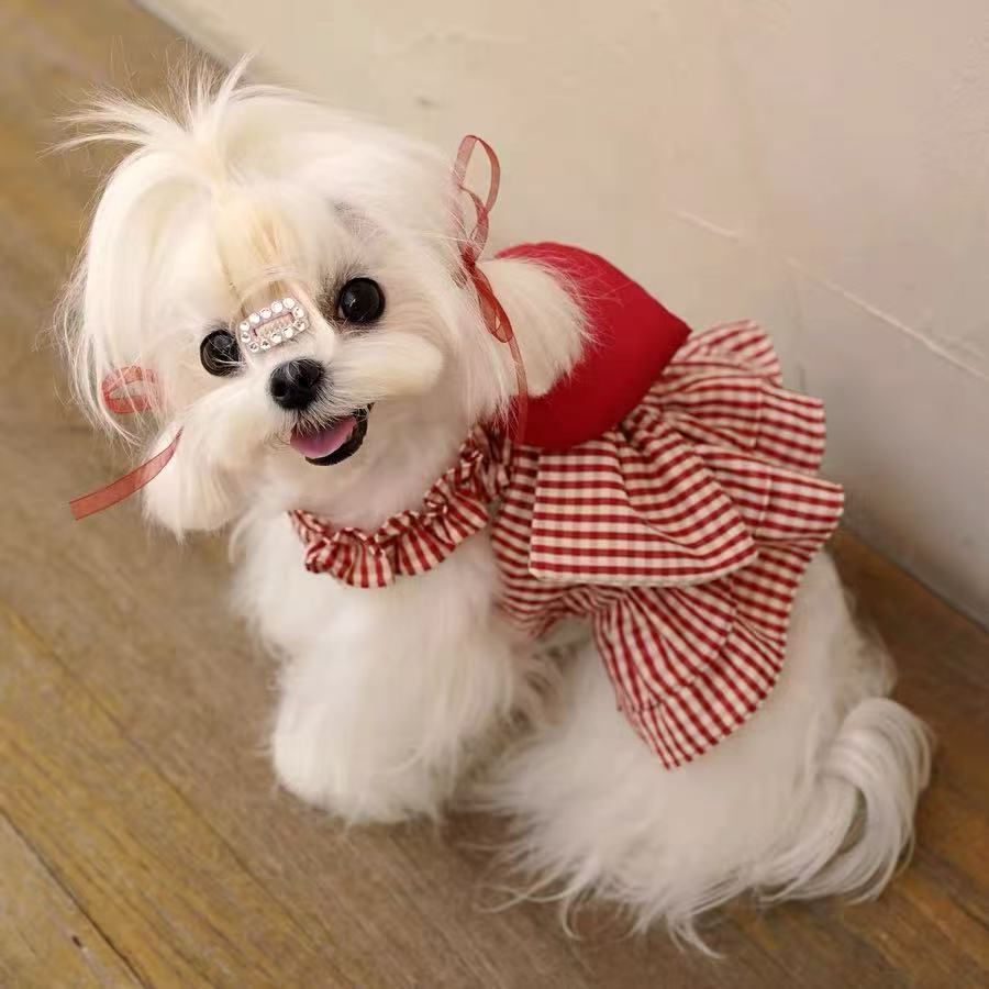 T812 Dog Skirt Spring and Summer Valentine's Day Love Super Cute Mini Skirt Yorkshire Maltese Bichon Pomeranian Clothes