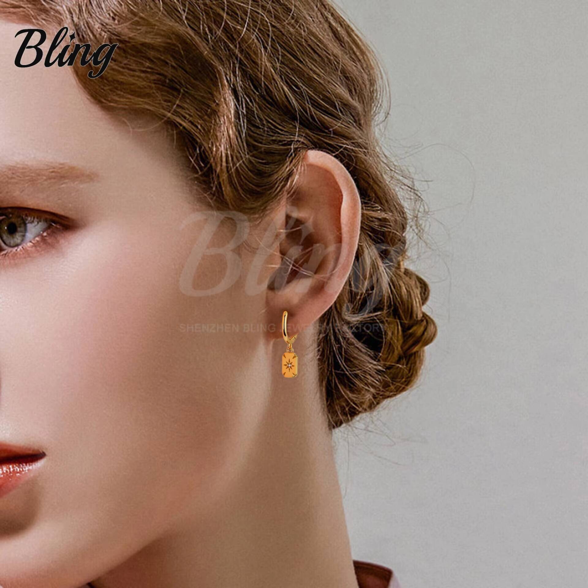 BLING Custom Diamond Moissanite Earrings S925 Sterling Silver Women Hoop Earrings Gold Plated Star Stud Earrings with Zircon