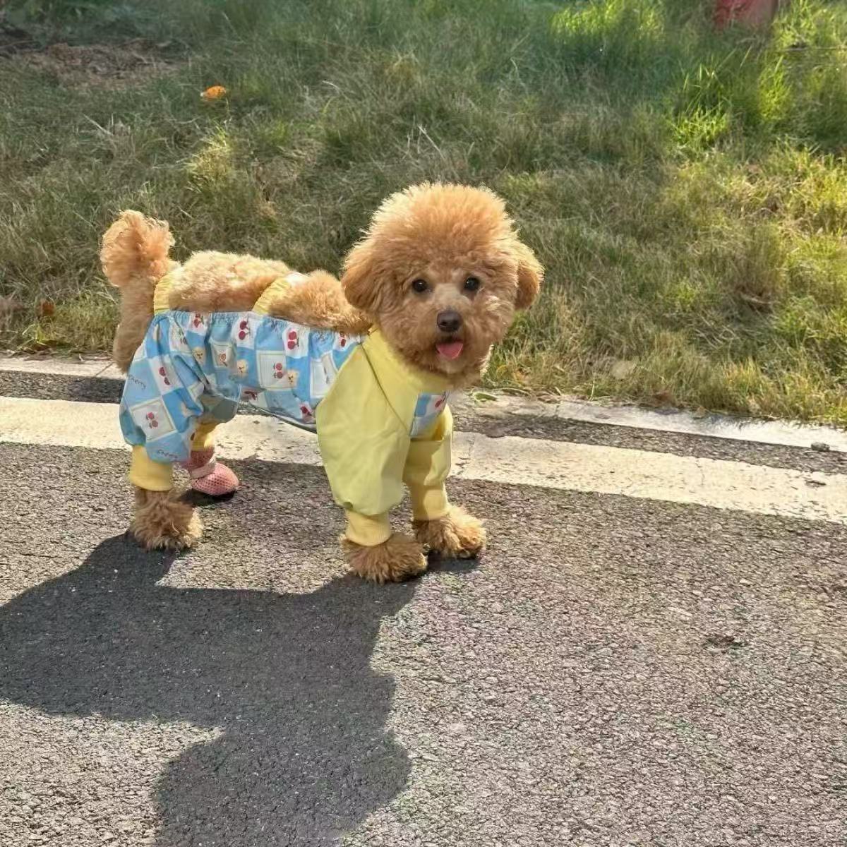 T801 Pet clothes spring and summer new streamer yarn princess dress Teddy Bichon dog cat thin sun protection traction dress