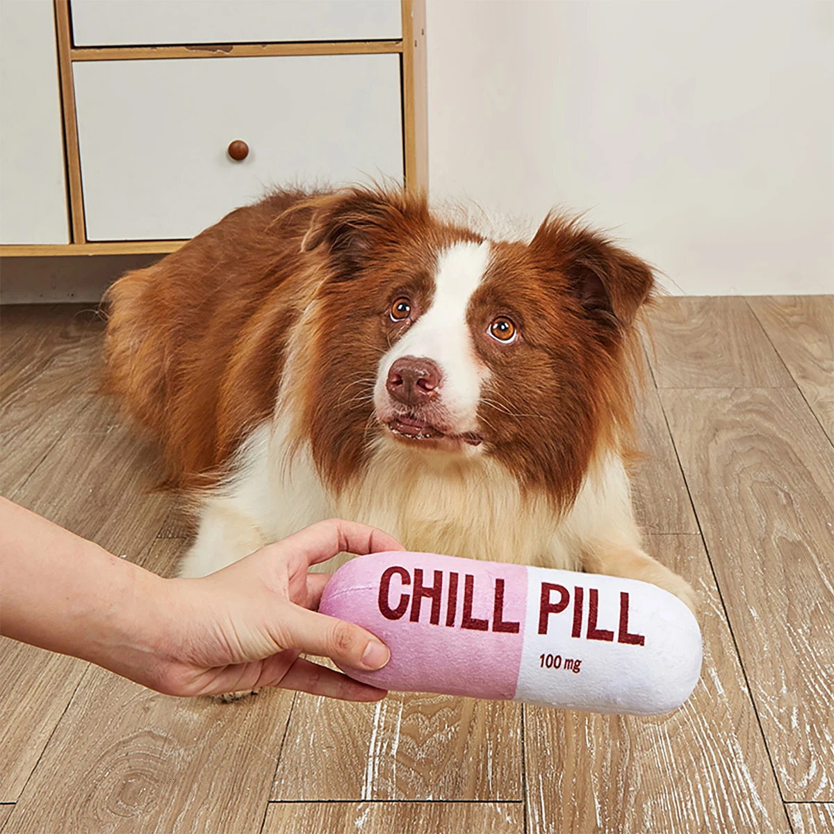 Interactive Plush Pill-Shaped Dog Toy with Durable Bite-Resistant Chew Toy for Pet Play and Dental Health 250726