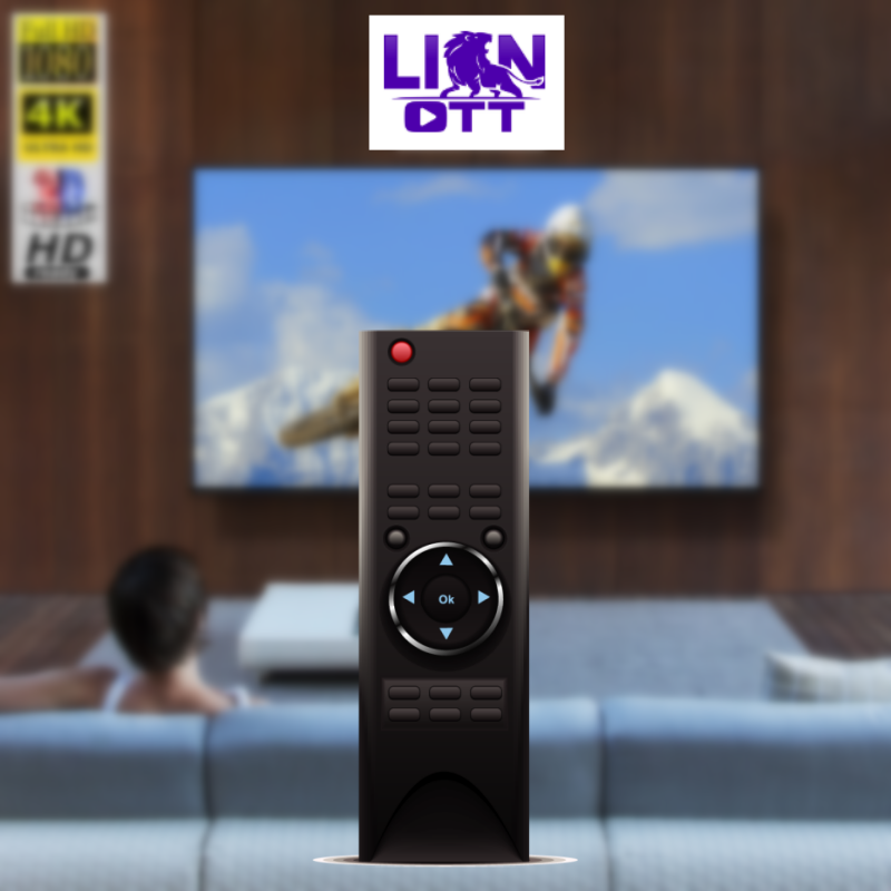 Lion Smart TV Universal 4K Full HD Free Demo 2.4G 5G Wireless Remote Control Android TV Set Top Box