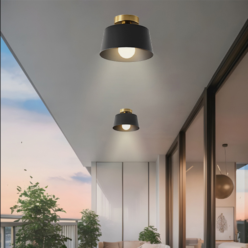 Elegant Small Space Compatible Ceiling Lighting Modern ceiling light fixture