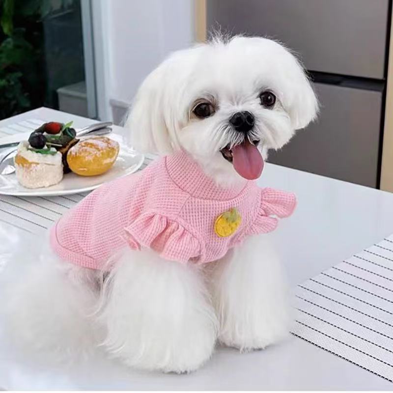 T817 Dog Clothes Autumn and Winter Teddy Bichon Pomeranian Small Dog Puppy Spring and Autumn Thin Cute Princess Fashion Brand Pet Cat