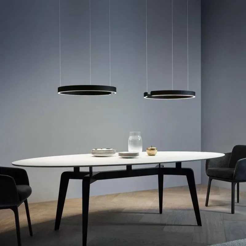 High Quality Ring Pendant Lamp Ceiling Chandelier for Dining Living Room Bedroom Kitchen Dimmable Hanging Light XJ250725