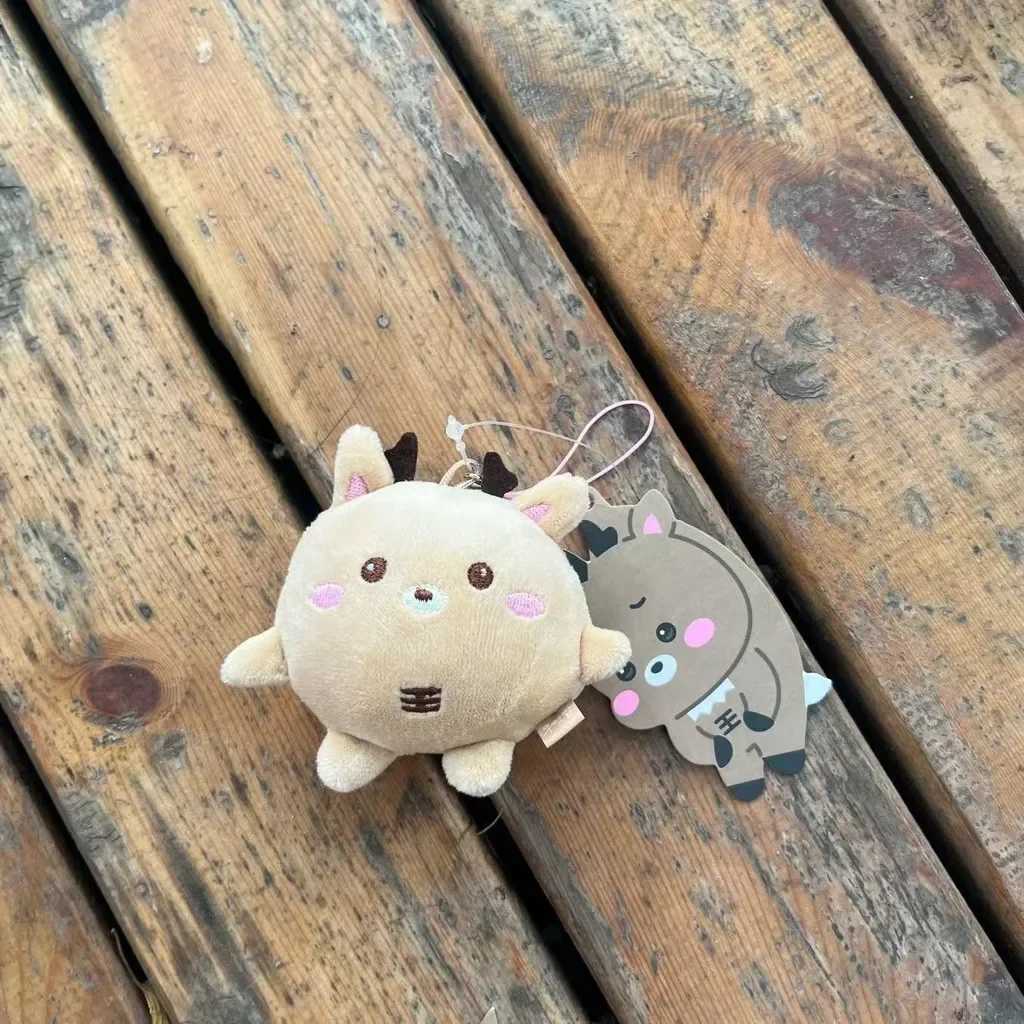 RIIZE Mini Plush Doll Keyring Riizing Fan Con Riizing Day Finale SHOTARO WONBIN EUNSEOK SUNGCHAN SOHEE ANTON Key Chains R250725