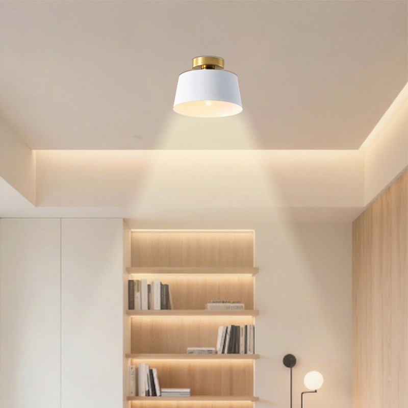 Elegant Small Space Compatible Ceiling Lighting Modern ceiling light fixture