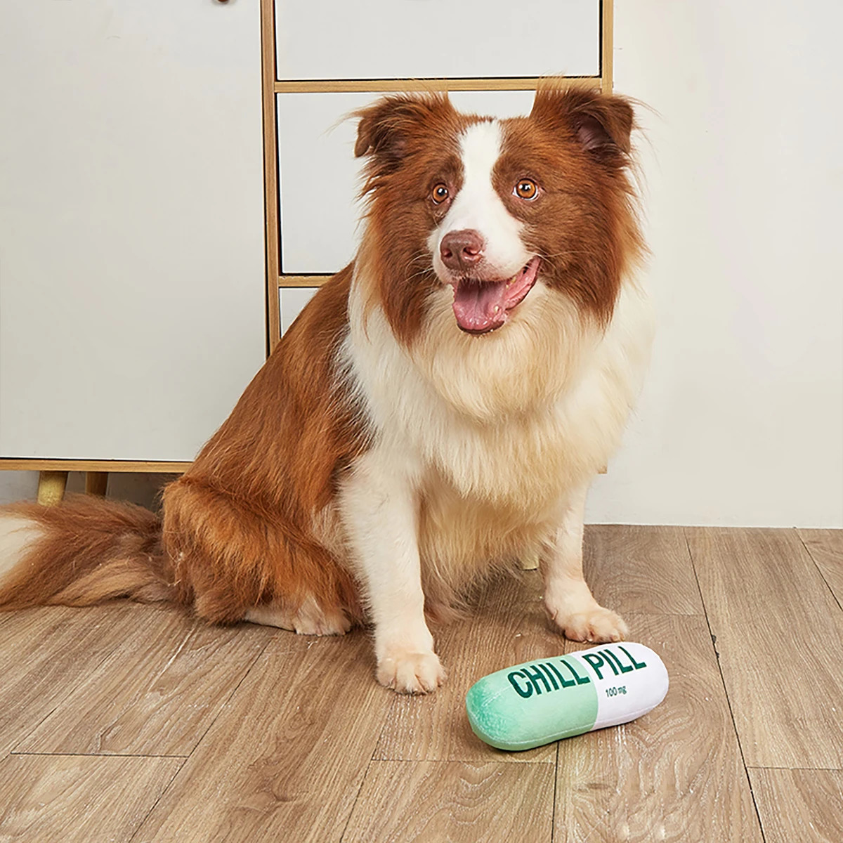 Interactive Plush Pill-Shaped Dog Toy with Durable Bite-Resistant Chew Toy for Pet Play and Dental Health 250726