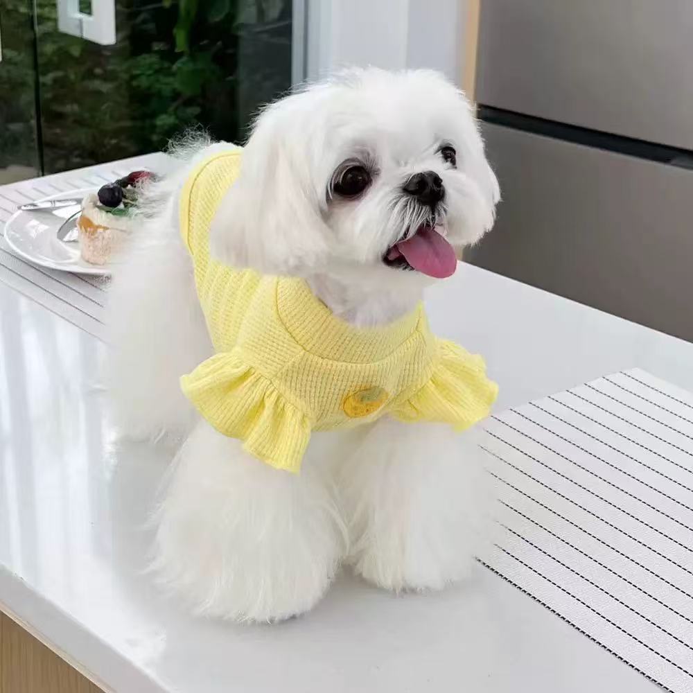 T817 Dog Clothes Autumn and Winter Teddy Bichon Pomeranian Small Dog Puppy Spring and Autumn Thin Cute Princess Fashion Brand Pet Cat