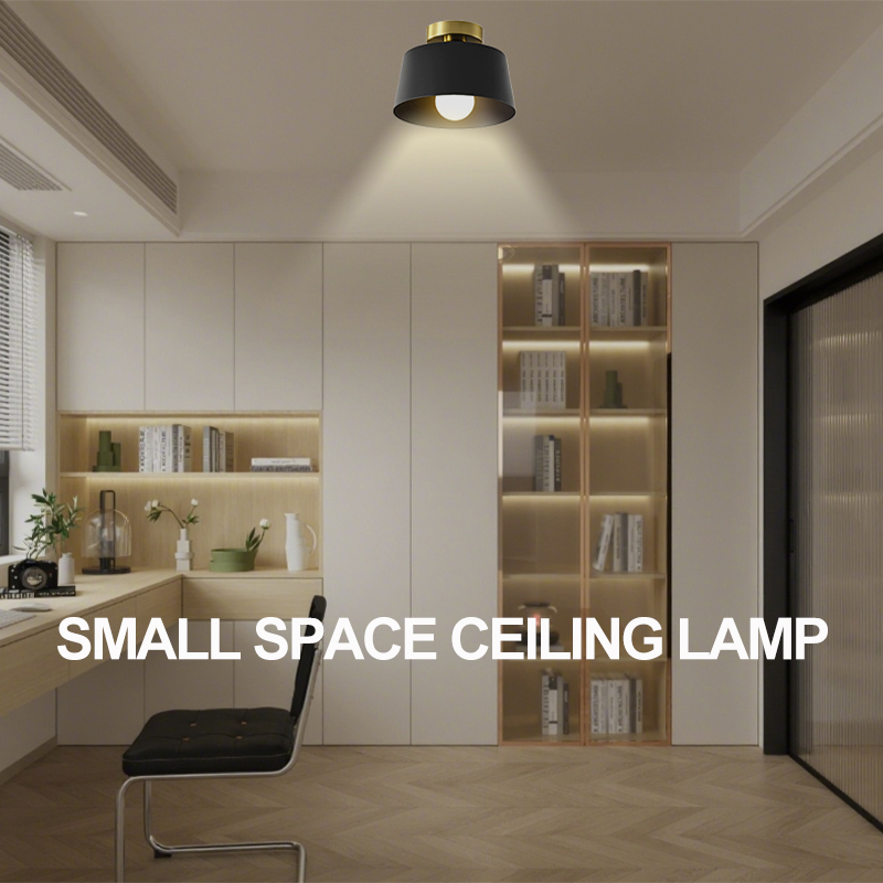 Elegant Small Space Compatible Ceiling Lighting Modern ceiling light fixture
