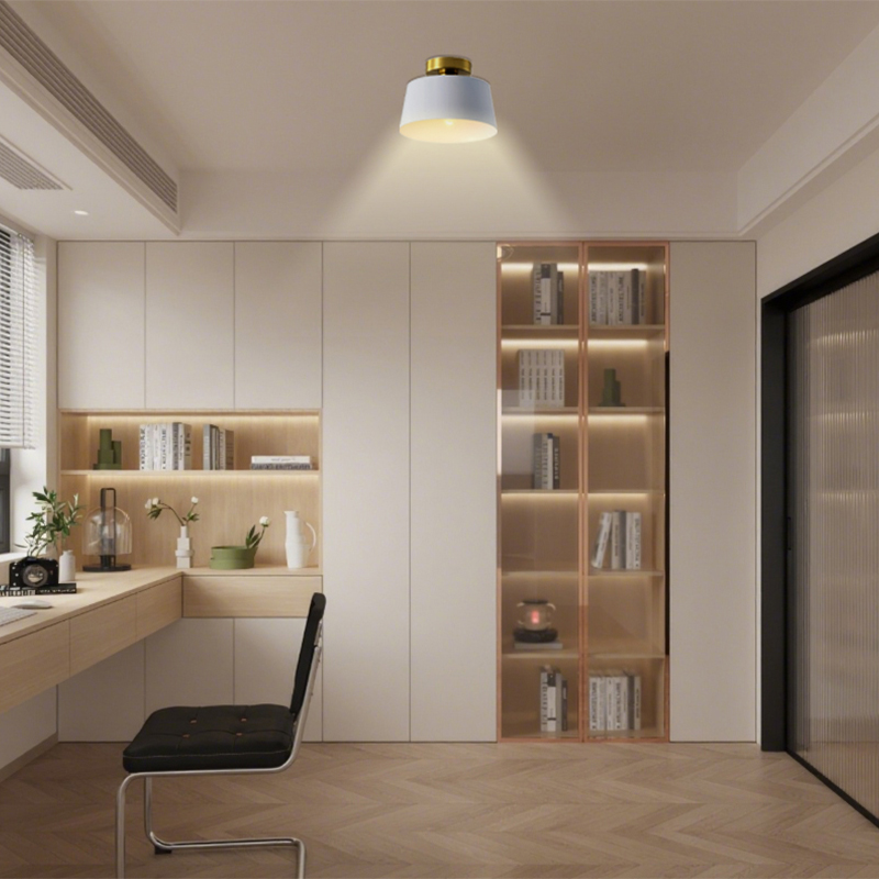 Elegant Small Space Compatible Ceiling Lighting Modern ceiling light fixture