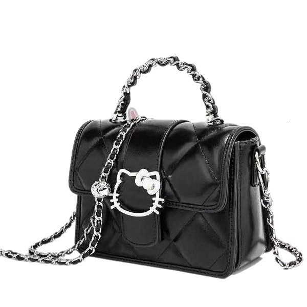 Designer's Cat Niche Handbag Small Square Bag High End Luxury Feel Women's Outdoor Beach Bag Crossbody Handbag Summer 2025