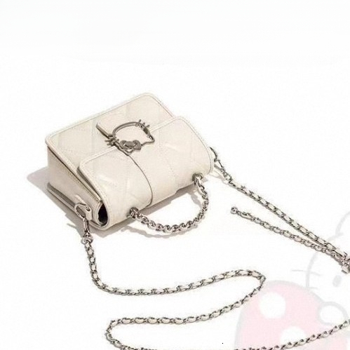 Designer's Cat Niche Handbag Small Square Bag High End Luxury Feel Women's Outdoor Beach Bag Crossbody Handbag Summer 2025