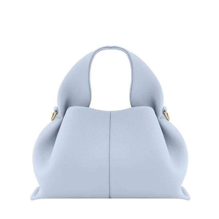 Cloud Dumpling for Women New Popular Handheld Lunch Box Bun French Texture Single Shoulder Crossbody Bag bag