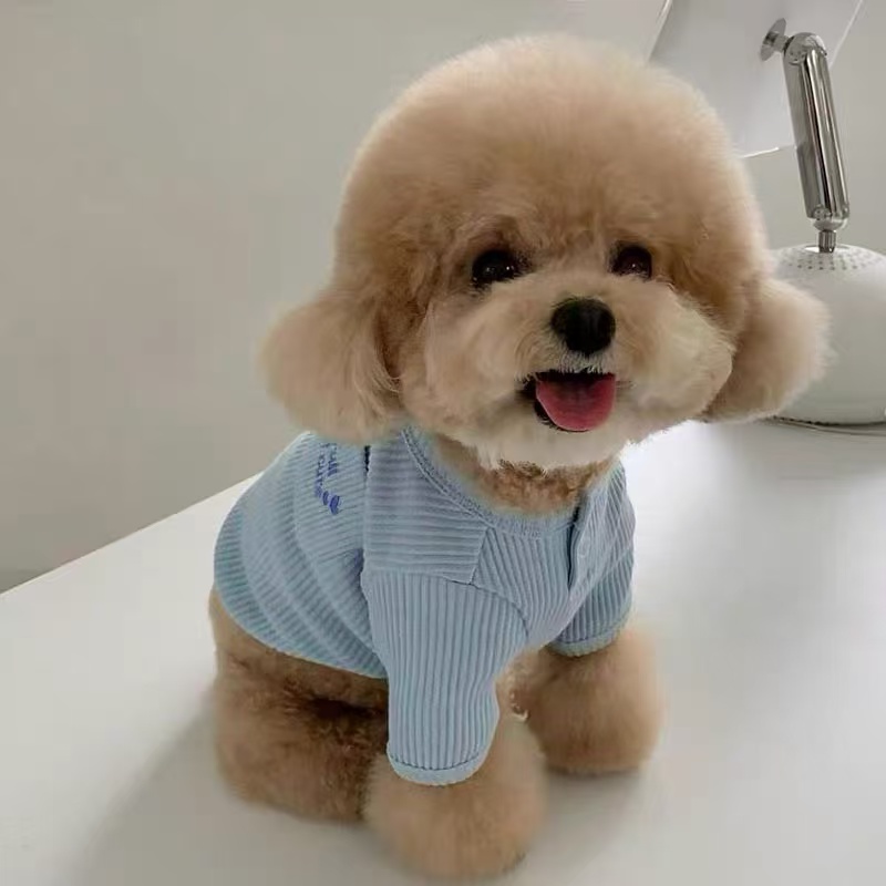 T836 Autumn pet bottoming shirt Teddy Bichon Pomeranian Maltese Yorkshire small dog dog clothes autumn