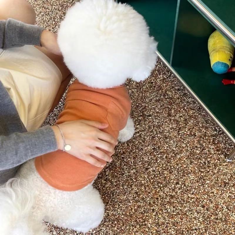 T834 Summer Thin Dog Clothes Teddy Bichon Pomeranian Poodle Schnauzer Yorkshire Small Dog Pet T-shirt