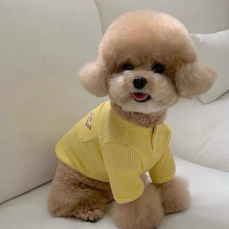 T836 Autumn pet bottoming shirt Teddy Bichon Pomeranian Maltese Yorkshire small dog dog clothes autumn