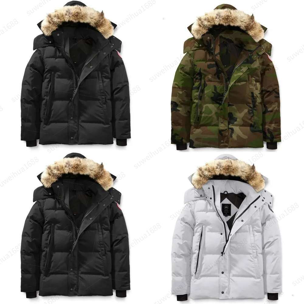Men Down jacket goose coat real big wolf fur Overcoat Clothing Casual fashion style Winter Outerwear parka