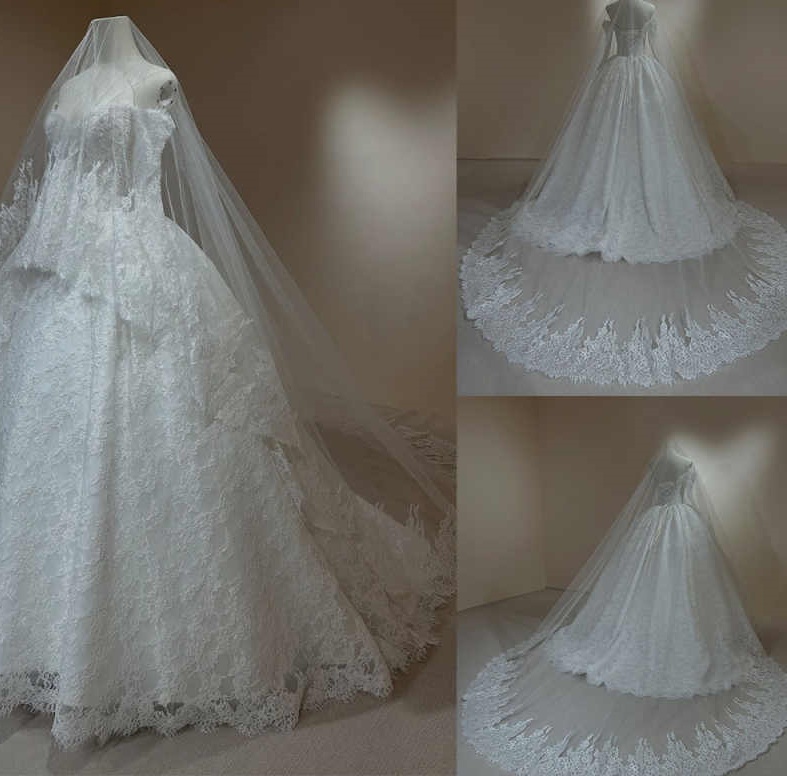 Customized Elegant Bridal Veil Applique Lace Long Cathedral Single Layer Wedding Veil With Comb Wedding Accessories