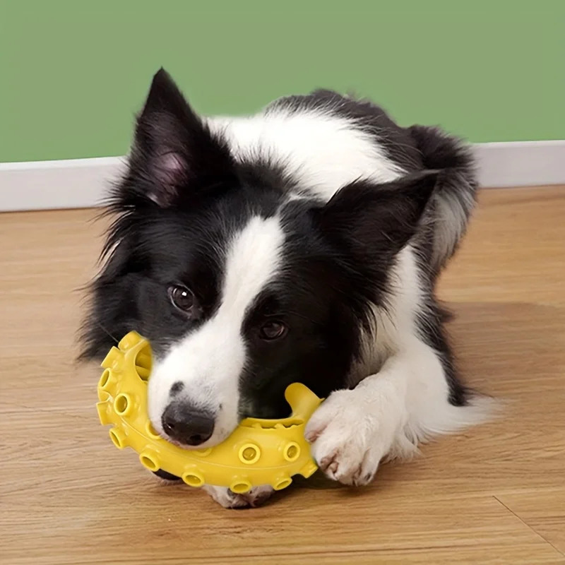 TPR Pet Dog Toys for Small Medium Dogs Biteresistant Chew Teeth Cleaning Supplies 250729