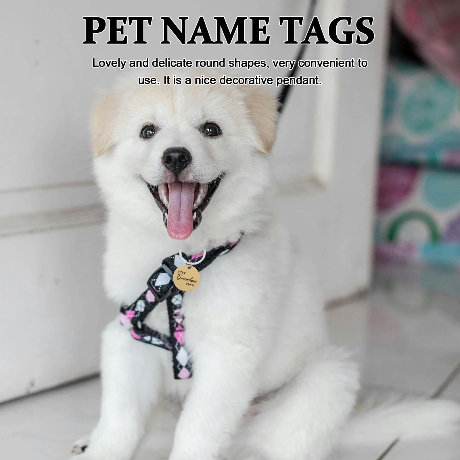 4 Pcs Pet ID Card Keychain Puppy Collars Name Tag Label Dog Identification Tags Stainless Steel 250729