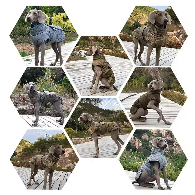 Autumn Winter Warm Thick CottonPadded Dog Clothes Reflective Waterproof Down Jacket for Large Breed Dogs Parkas Clothing 250729