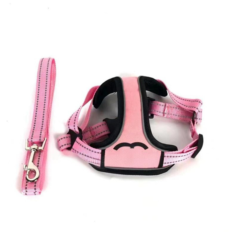 2025 new Collars Designer Harness And Leashes Set Printed Letter Pattern Dog Harnesses Soft Adjustable Vest For Small Medium Dogs Chihuahua
