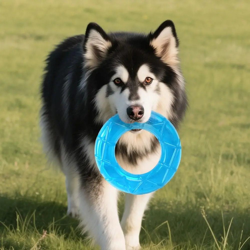Pet Cooling Chew Toy Summer Ice Cube Freezable Dog Teething for Puppies Training Play Fillable Puppy Rings 250729
