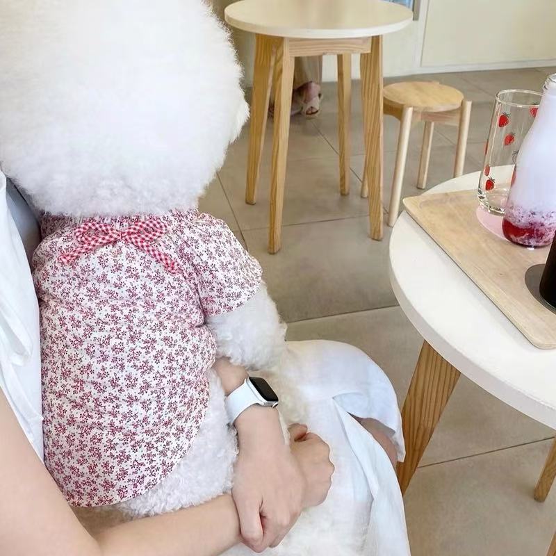 T841 Summer thin pet Pomeranian Teddy Schnauzer Yorkshire Poodle cat small puppy dog clothes