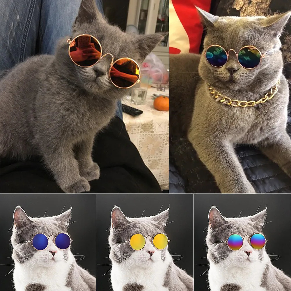 Dog Glasses Pet Vintage Round Cat Accessories Puppy Pos Props Decorations for Dogs Reflection Eyewear Glasses 250729