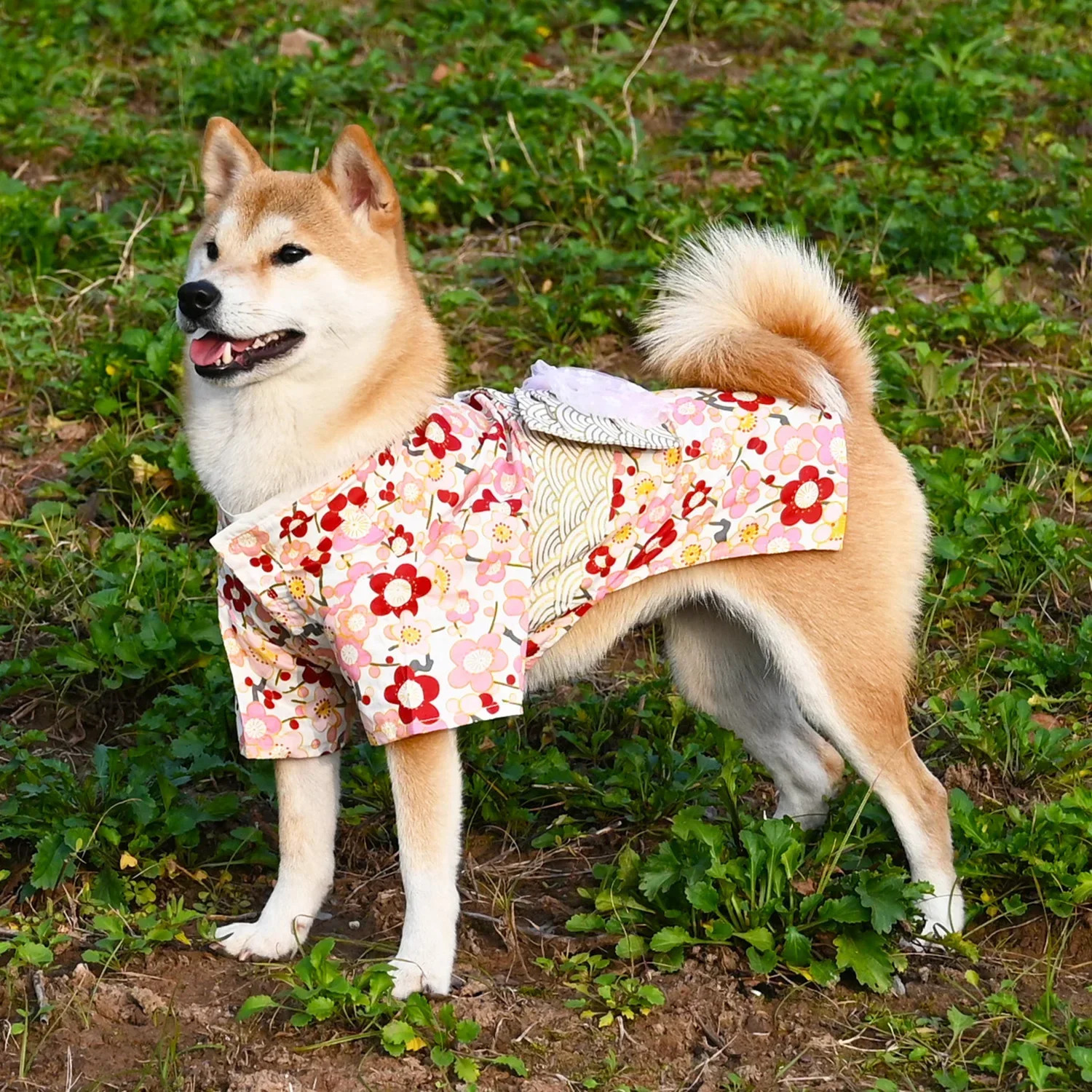 Japanese Style Pure Cotton Pet Kimono Small and Medium Dog Clothes Corgi Shiba Inu Puppy Costume Cat Dogs Accessories 250729