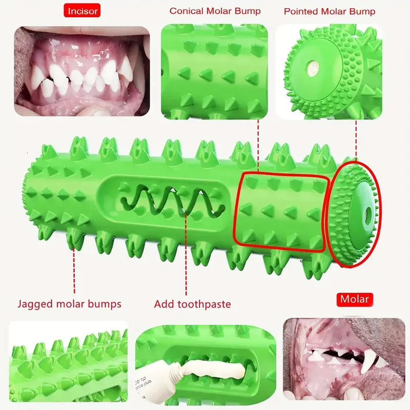 VetApproved Dental Chew Stick 3in1 Cooling Toothbrush Toy for SmallMedium Dogs Summer Teeth Cleaning Gum Massage 250729