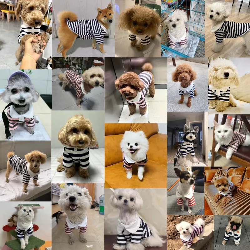 Fashion Pet Dog Striped Shirt Summer Puppy Clothes Cute Cat Vest Breathable Thin Kitten Clothing Chihuahua Clothes 250729