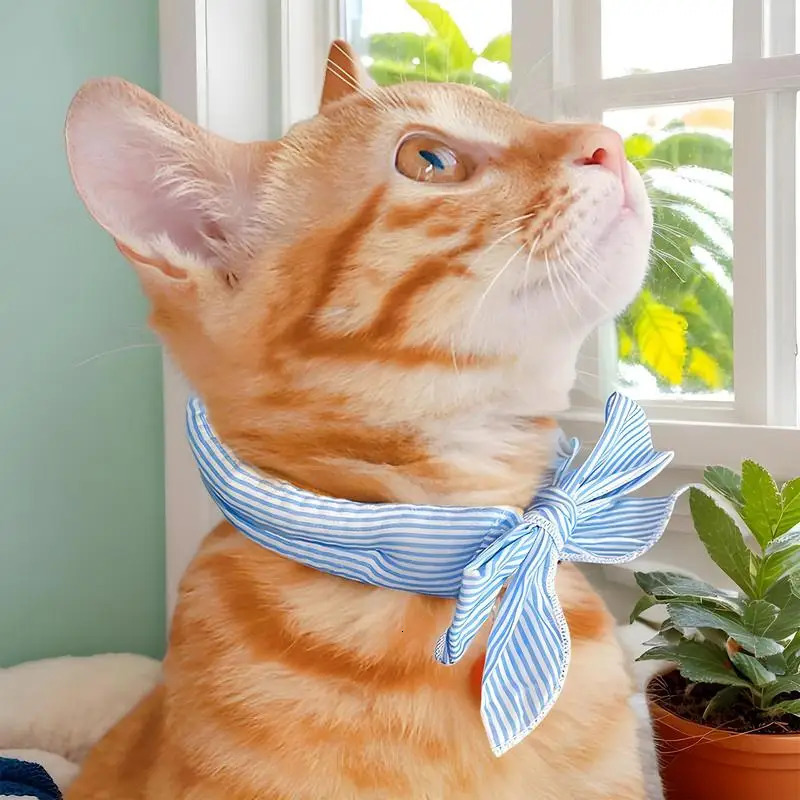 Pet Cooling Ice Scarf Cool Breathable Towel Heatstroke Dogs Cats Collar Cat Adjustable Bibpet Supplies 250729