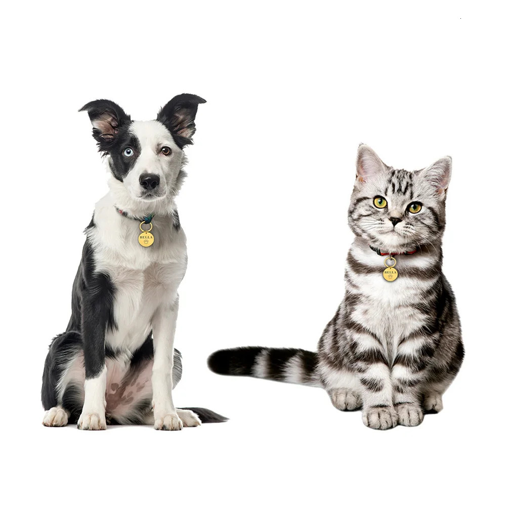 ID Tag Custom Name Anti-lost Engraved Record Tel Address Cat Puppy Personalized Paw Print Medal Pendant Pet Dog Collar Accessory 250729
