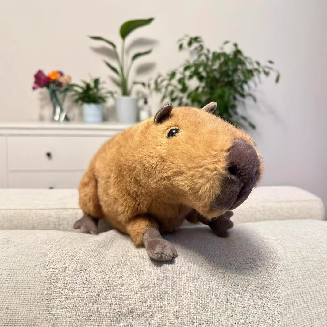 Dolls jellys cat Clyde 2 Capybara Plush Children's plush toys Kapibala Soft Toy Dolphin body pillow Cute Soothing Doll Gifts