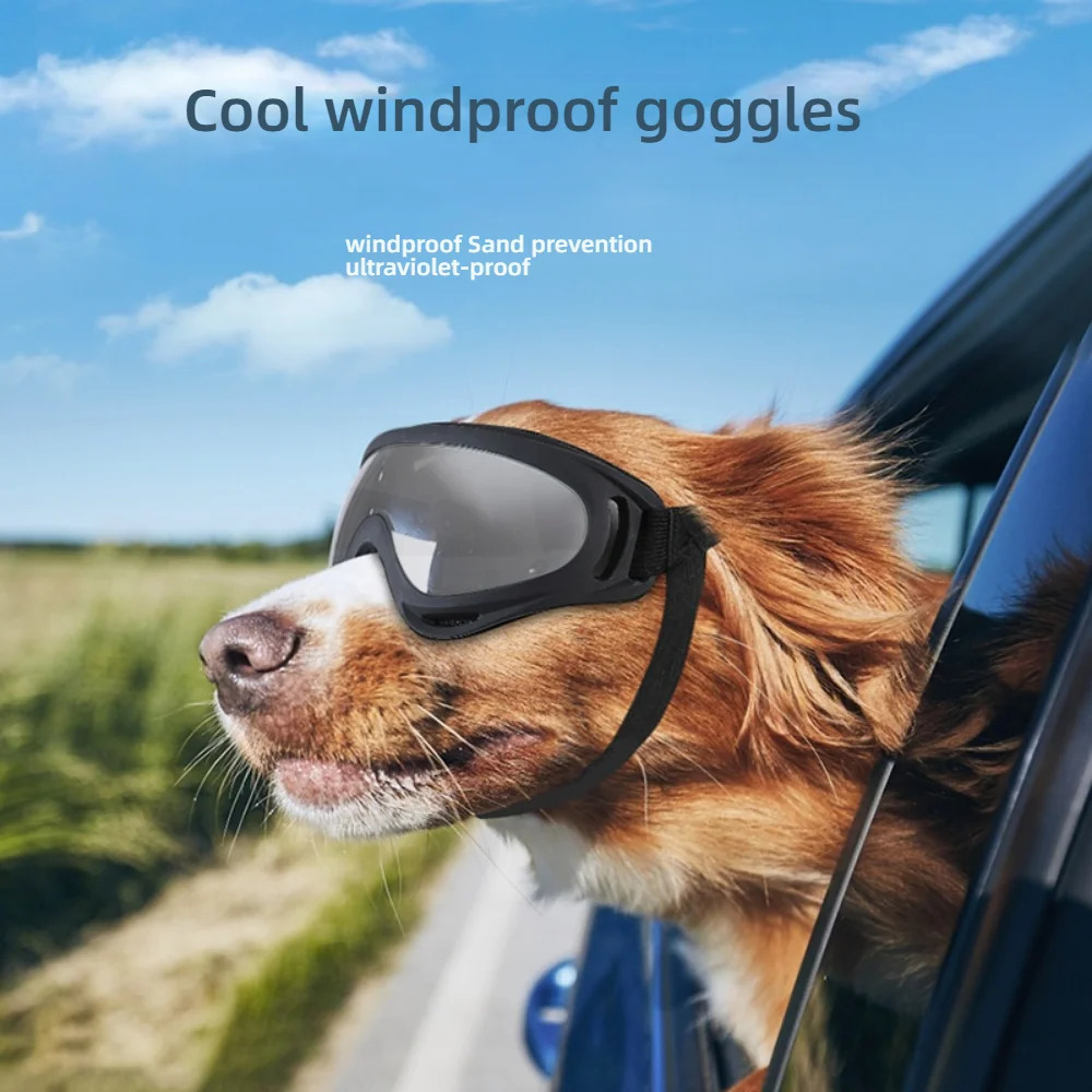Professional UVproof sunglasses for dogs a musthave pet outdoor travel wind and dust goggles in colorful silver 250729