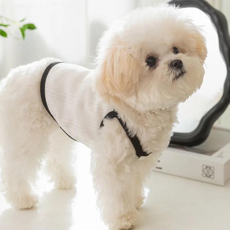 Summer Dog Vest Thin Pet Clothes for Small Dogs Breathable Puppy Chihuahua Clothing Accessories 250729