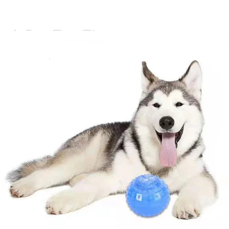 Dog Cooling Toy for Summer Safe Resistant Bite Rubber Bone Ball and Bow Shape LeakProof Food Toys 250729