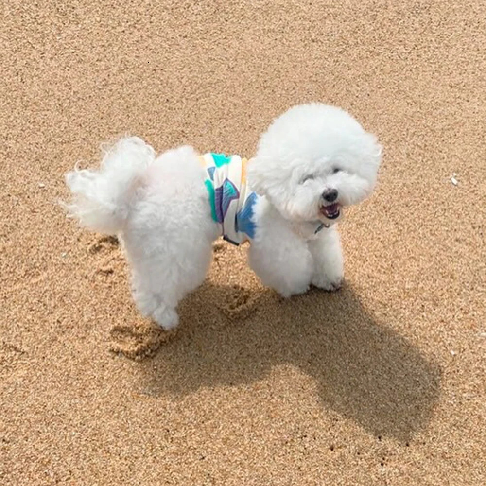 Beach Summer Puppy Vest for Small Dog Clothes Fresh Cute Shell Pattern Soft Cat Breathable Clothes 250729
