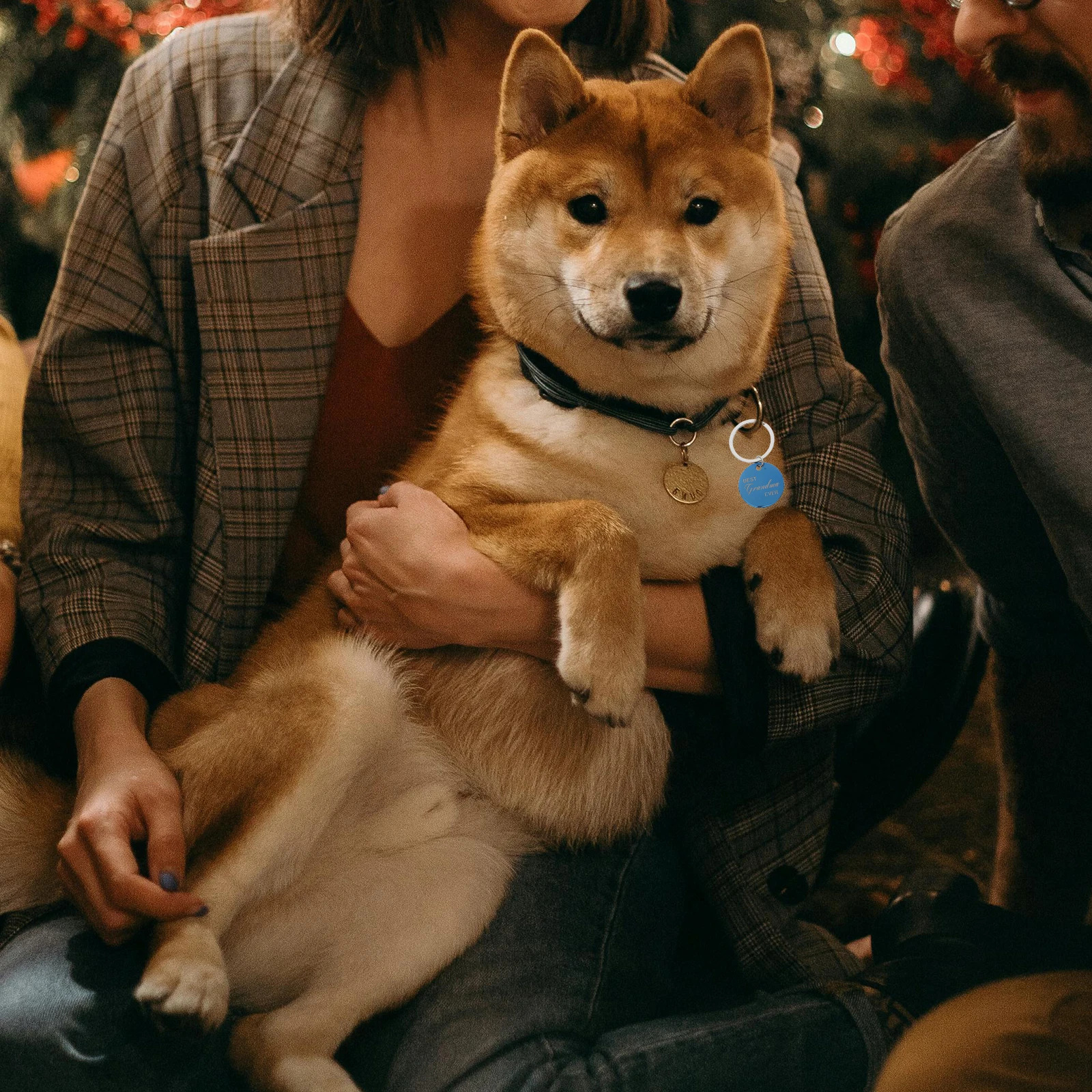 4 Pcs Pet ID Card Keychain Puppy Collars Name Tag Label Dog Identification Tags Stainless Steel 250729