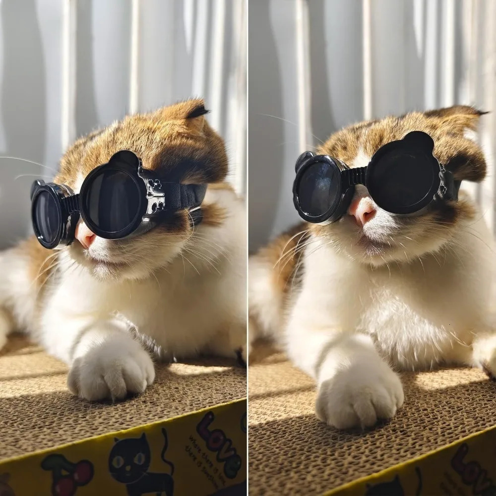 Pet Sunglasses Dog Goggles Waterproof Snow Windproof Small Eyewear for Outdoor Travel Driving Riding Goggles 250729