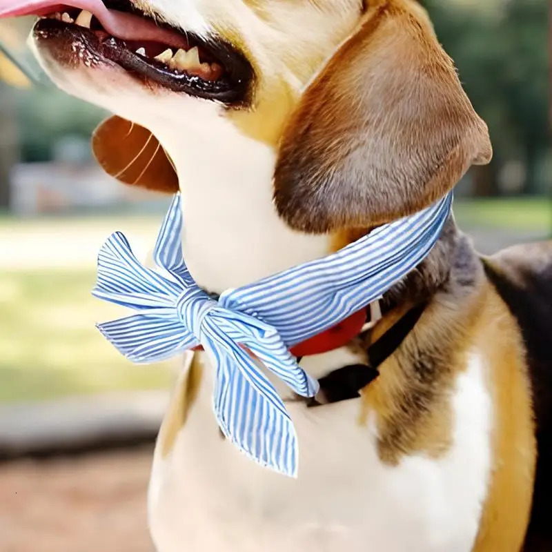 Pet Cooling Ice Scarf Cool Breathable Towel Heatstroke Dogs Cats Collar Cat Adjustable Bibpet Supplies 250729