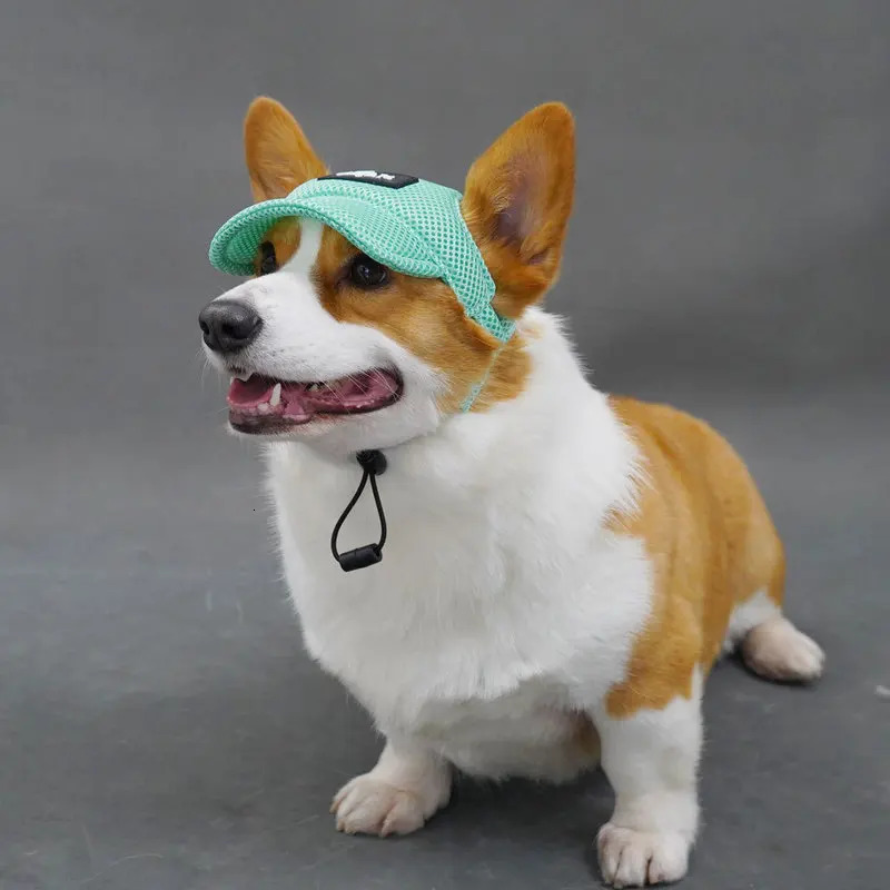 Summer Pet Dog Hat Breathable Sun Protection Ears Exposed n Golden Retriever Cap Shade Accessories 250729