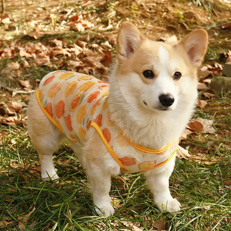 Summer Pet Dog Mesh Vest Cooling Thin Clothes for Small Medium Large Dogs Puppy Cat Chihuahua Supplies 250729