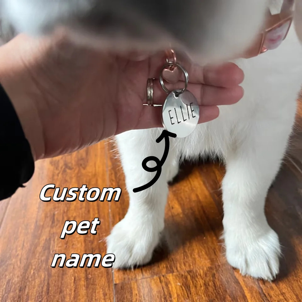 Personalized Custom Stainless Steel Metal Round Dog Tag Kitten Puppy Pet Identity Card Can Be Engraved To Prevent Loss Fashion 250729