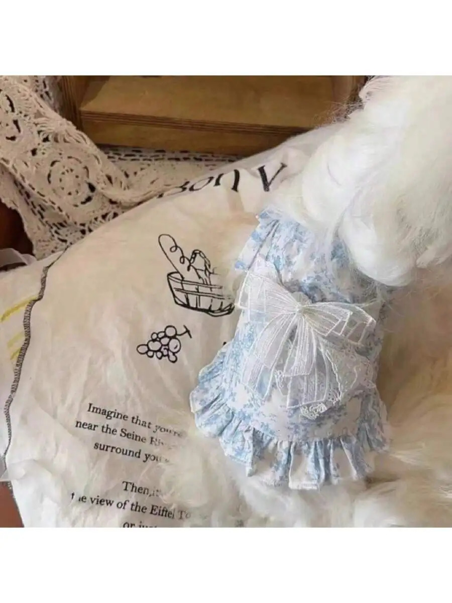 Pet Clothes for Dogs and Cats Summer Thin Suspender Skirt Bow Lace Princess Teddy Bichon 250729